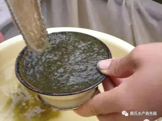 一文简析常规水花鱼下塘前后的饲养方法，让你有备无患！