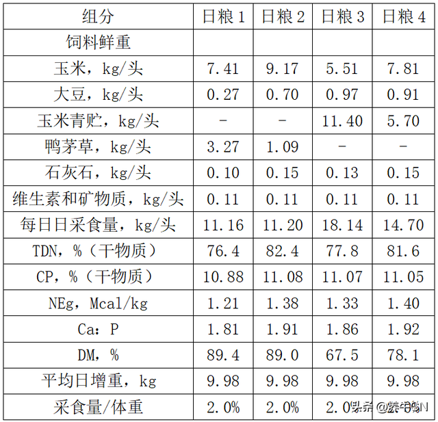 育肥牛日粮管理