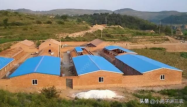 设施农业用地政策“大转向”，养殖场能占耕地吗？新规定已明确