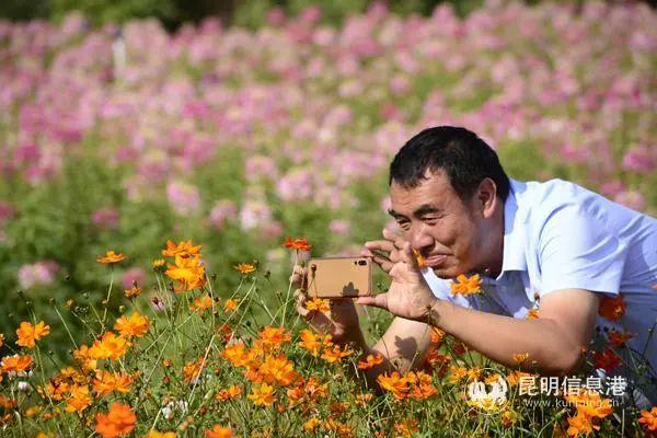 来花仙子花园，走进遍地鲜花的童话世界