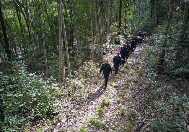 探秘国家公园丨武夷山国家公园：“神奇动物”的十二时辰