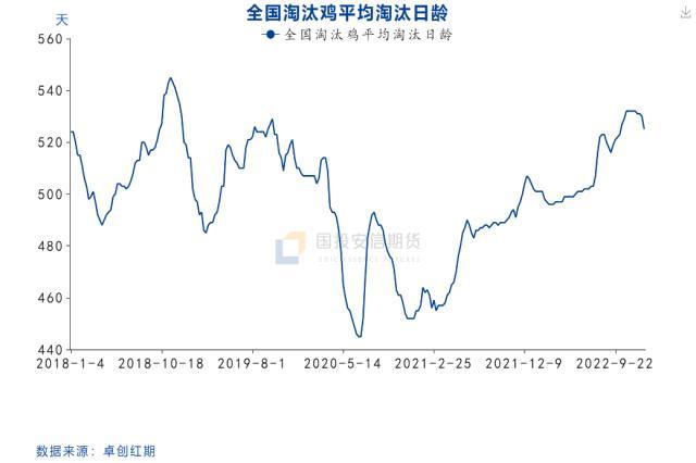 鸡蛋：年后价格预计淡季不淡，重点关注需求