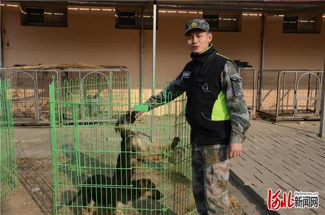 人物｜警界奇兵：警犬训导员和他们的特殊“战友”