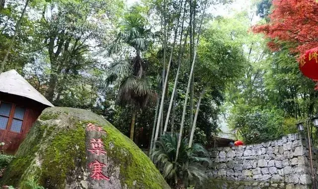 “衡阳人游衡阳，衡阳人爱衡阳”线路推介①南岳乡村康养两日游