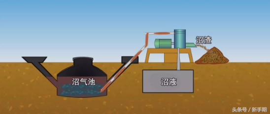 《畜牧—沼气—果树生产模式》养殖种植创新收