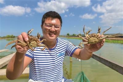 螃蟹养殖，美了田园富了农民 南京高淳谱写乡村振兴新乐章