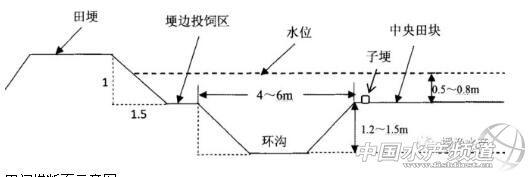 超级详细！如何改建稻田养殖小龙虾？