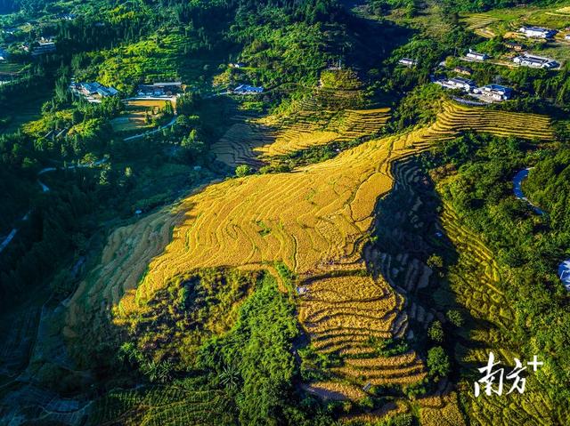 梅州：治“荒”有方，粮食满仓｜土地不撂荒 发展有希望⑧