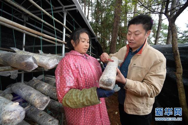 贵州三穗木界村：迈步小康路