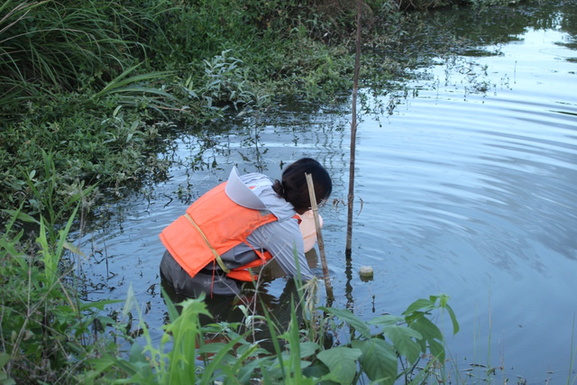 全国唯一淡水珍珠科技小院超40度，他们套着下水裤，孕育珍珠蚌