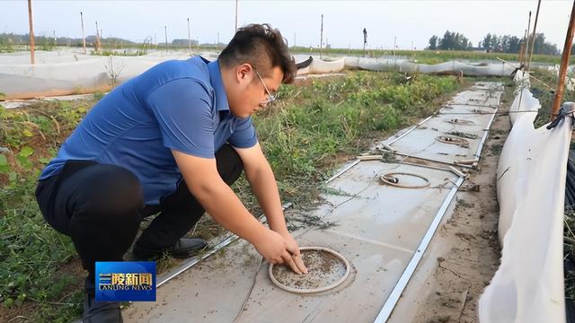 看小小蟾蜍如何变身致富“良药”