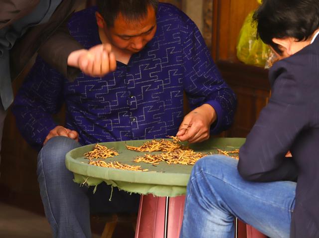 中国最大的冬虫夏草市场—西宁玖鹰虫草市场