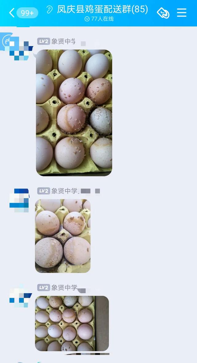 8箱2880枚中学营养餐鸡蛋变质生蛆，云南临沧涉事公司回应：鸡蛋日期为一个月前