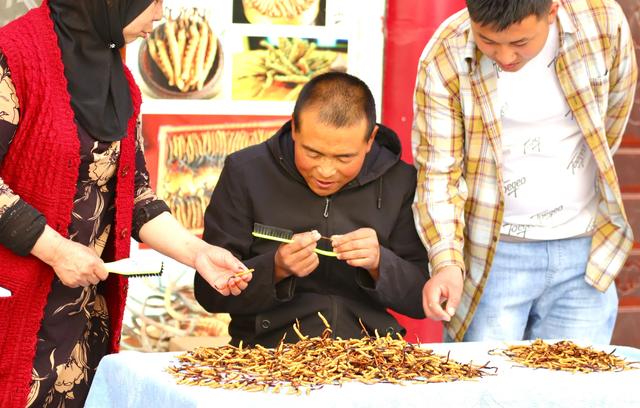 中国最大的冬虫夏草市场—西宁玖鹰虫草市场