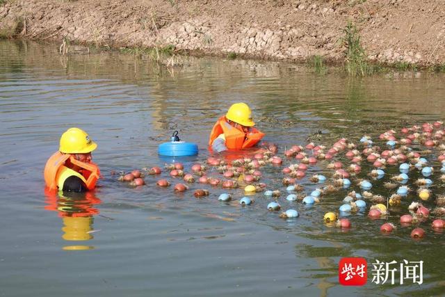 连云港赣榆：养殖尾水治理项目稳步推进， 助力水环境持续改善