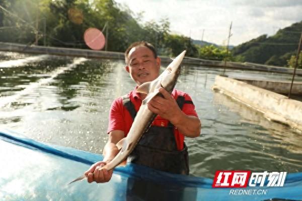 退役军人创业故事丨 谢爱成：返乡创业带领村民走上“致富路”