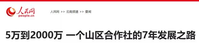 5万到2000万 一个山区合作社的7年发展之路