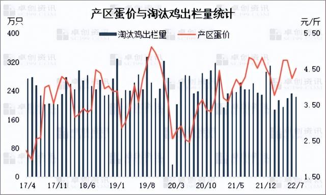 2022年规模化大层叠蛋鸡自动养殖，淘汰蛋鸡“身价”步步高升