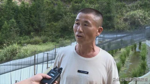 浦城县：返乡创业养黑斑蛙，带领村民共同致富