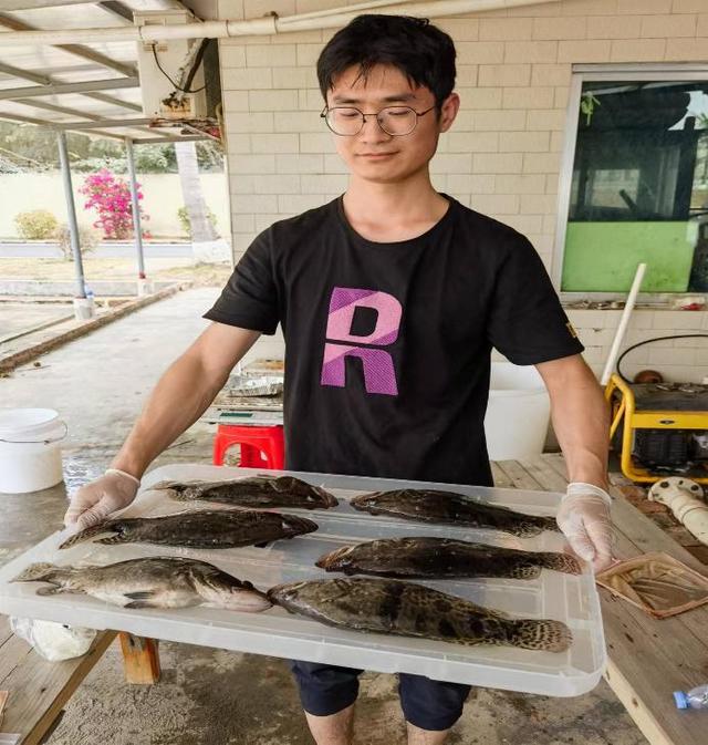 上海专家“驯化”挑食鳜鱼，更低成本实现绿色养殖