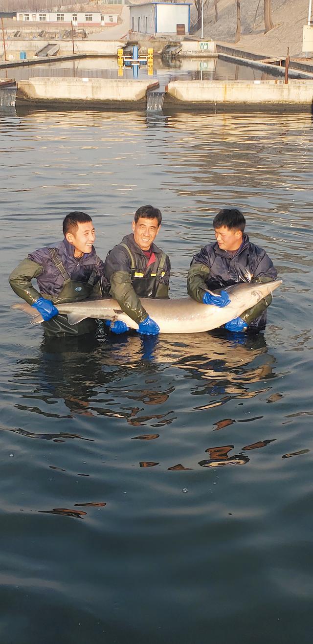 愿建广厦千万间 引领健康新生活——记稳健发展中的河北顺田投资集团有限公司