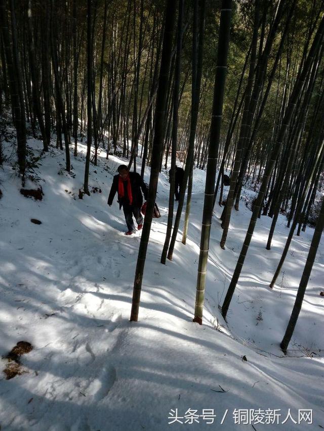 「铜陵视角」踏雪寻春 徒步“云崖寺”