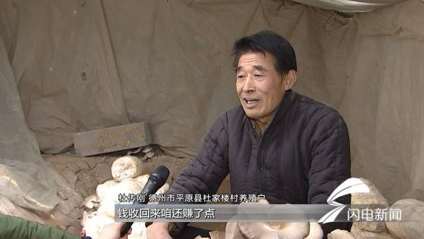 环保督察整改再落实｜山东：疏堵结合 化解畜禽养殖污染