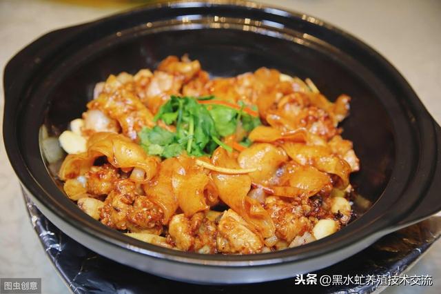 茶话谈：散养土鸡不同阶段的饲料配方