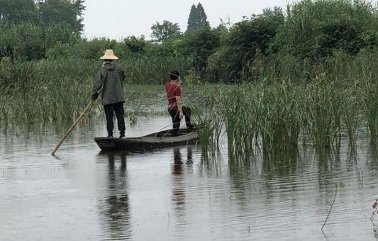 水产养殖，别忘了用上生石灰，好处不止一点点