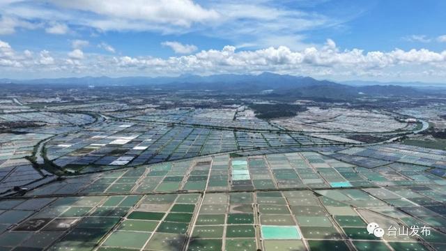 【大美台山】台山：全国最大鳗鱼养殖基地