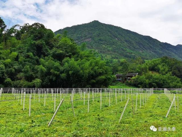 盘富村，好样的乡村振兴