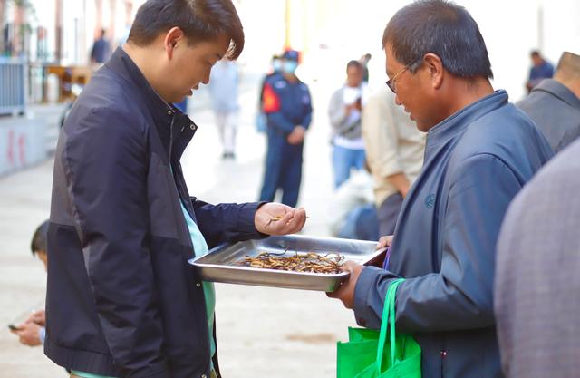 中国最大的冬虫夏草市场—西宁玖鹰虫草市场