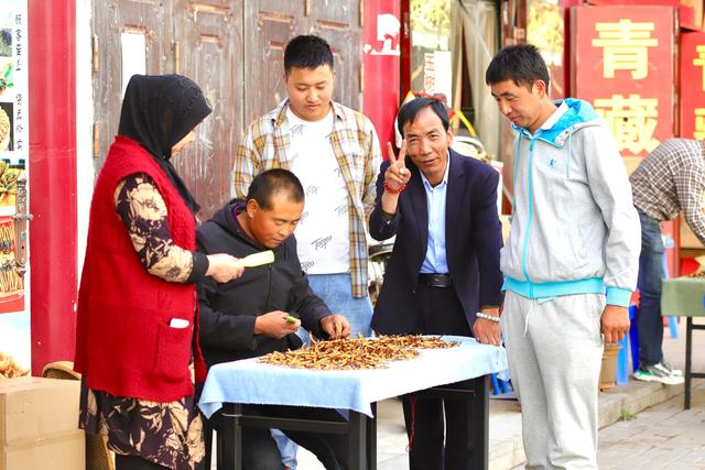 中国最大的冬虫夏草市场—西宁玖鹰虫草市场