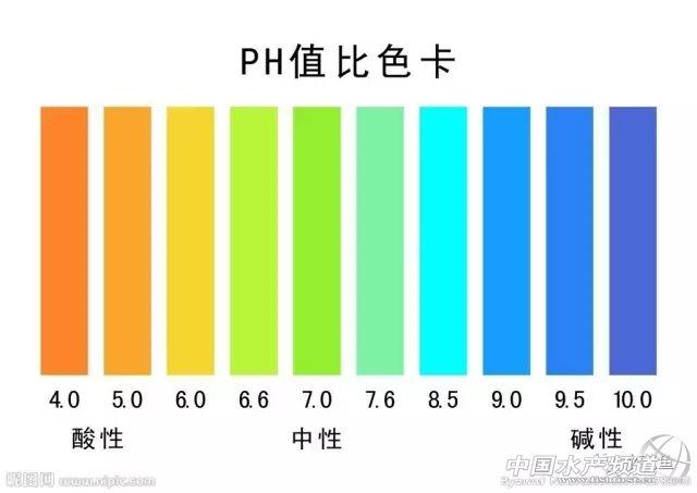 池塘养殖常见的水质老化原因及应对措施