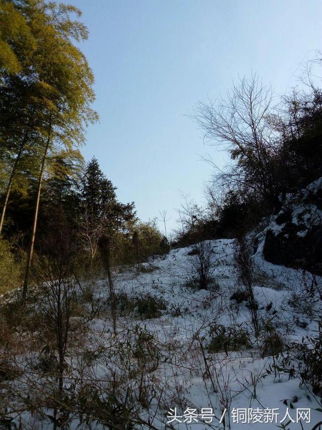 「铜陵视角」踏雪寻春 徒步“云崖寺”