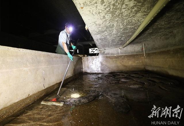 “仿生态”技术救护繁育大鲵