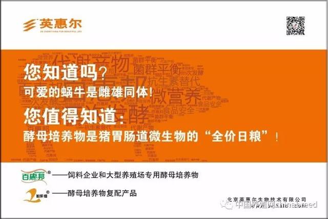 把猪养在田里，不仅没被拆还能过环评！怎么回事？