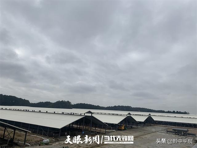 「新年开门红」贵州世界农场平坝肉牛交易养殖中心项目：追赶进度 力争早日建成投产