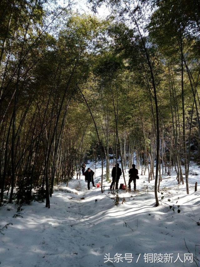 「铜陵视角」踏雪寻春 徒步“云崖寺”