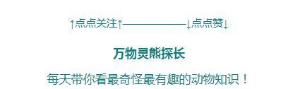 福建女子花60多万养稻蛙，却被全部消杀！只因怀疑她在养殖牛蛙？