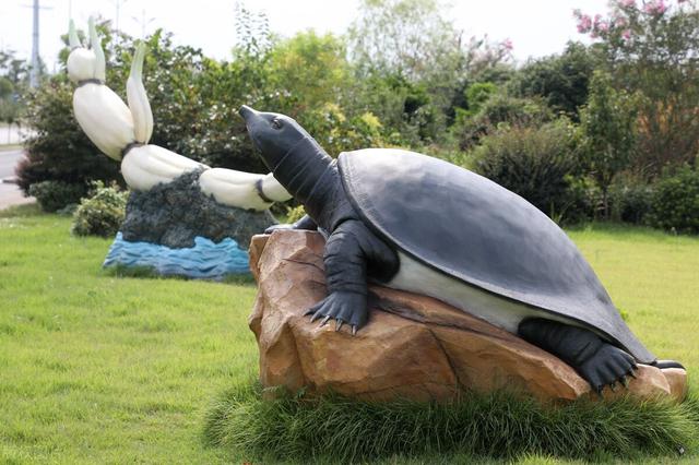 俗称“珍珠鳖”，1年可长5斤重，常被冒充野生甲鱼，却是外来物种