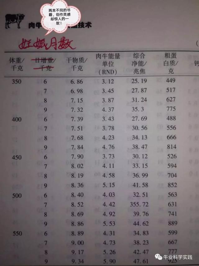 中国牛业的致命毒药——垃圾会议与展会泛滥成灾