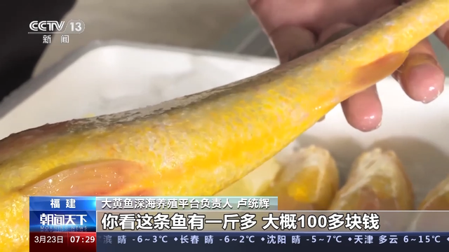 一线观察丨“大食物观”里的产业升级 提质提效助力水产品有效供给