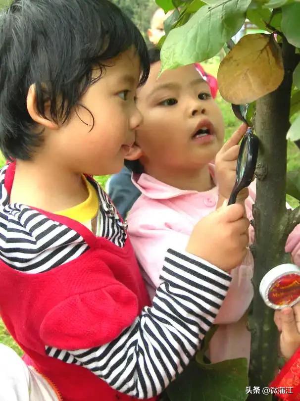 走进家门口的好学校幼儿园系列之一：蒲江县南街幼儿园