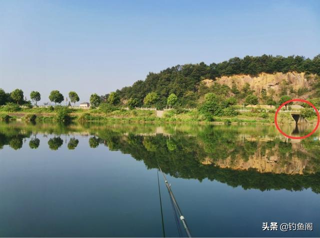 钓鳜鱼要牢记“三活”，只要方法得当，它比鲫鲤更好钓