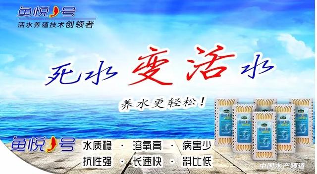 什么养殖“神器”？99%养殖户用了它，鱼虾吃得多、长得快、关键是料比还低