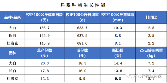 【行业交流】大北农种猪金顶论坛与成都畜博会展育种风采