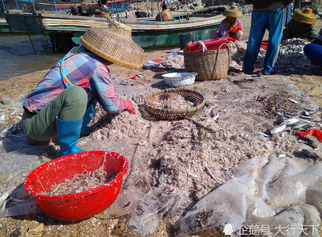 新疆海鲜养殖业的奥秘：如何做到旱地出海味？