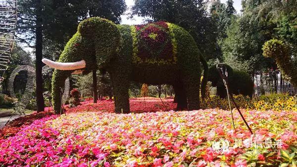 来花仙子花园，走进遍地鲜花的童话世界