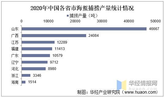 中国海蜇产业发展现状及建议分析，辽宁省是我国最主要的养殖产地